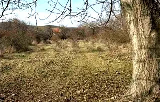 Парцел в Стара Загора, с. Колена
