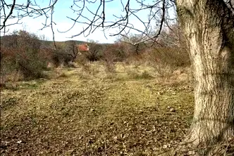 Парцел в Стара Загора, с. Колена