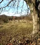 Парцел в Стара Загора, с. Колена