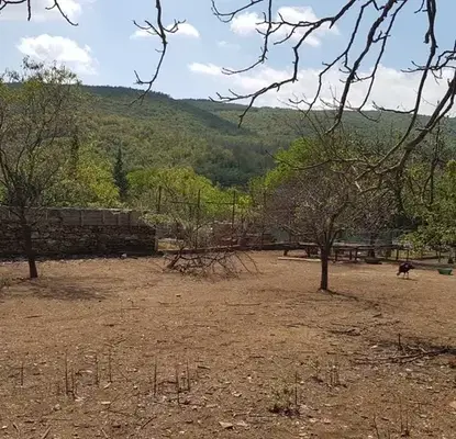 Photo 3 — Plot in Oblast Stara Zagora, Kolena