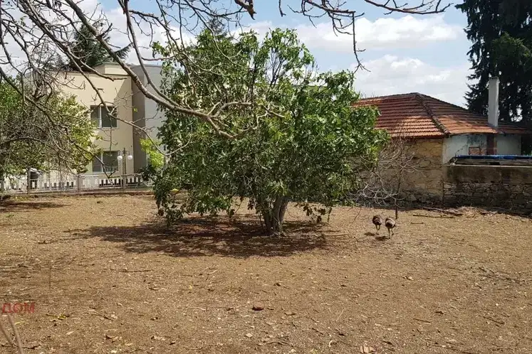 Plot in Oblast Stara Zagora, Kolena