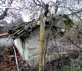 Снимка 2 — Парцел в Стара Загора, с. Лозен