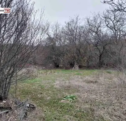 Снимка 5 — Парцел в Стара Загора, с. Лозен