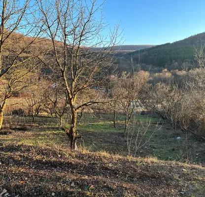 Photo 3 — Plot in Oblast Stara Zagora, Lyaskovo