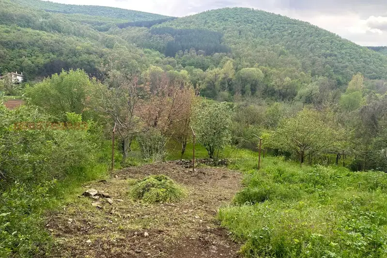 Plot in Oblast Stara Zagora, Lyaskovo