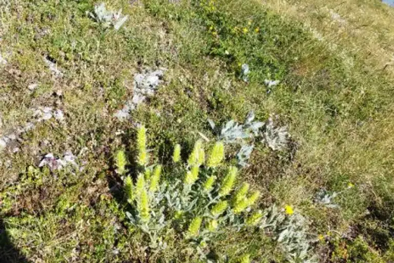 Plot in Oblast Stara Zagora, Lyava Reka
