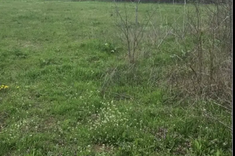 Парцел в Стара Загора, с. Маджерито