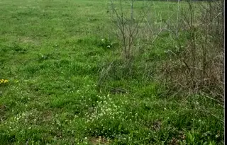 Парцел в Стара Загора, с. Маджерито