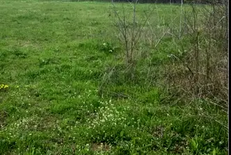 Парцел в Стара Загора, с. Маджерито