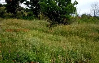 Парцел в Стара Загора, с. Малка Верея