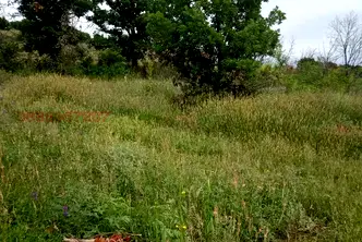 Парцел в Стара Загора, с. Малка Верея