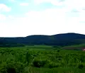 Снимка 5 — Парцел в Стара Загора, с. Малка Верея