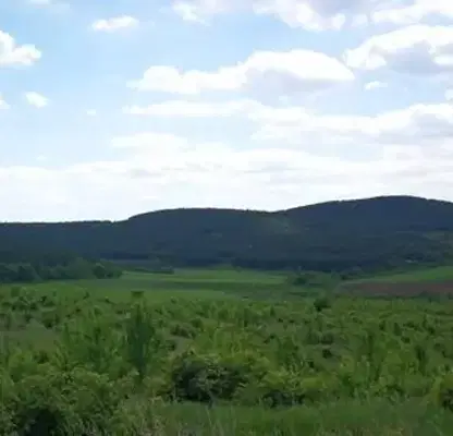 Снимка 5 — Парцел в Стара Загора, с. Малка Верея