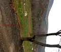 Снимка 4 — Парцел в Стара Загора, с. Малка Верея