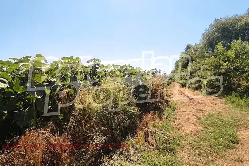 Plot in Oblast Stara Zagora, Malko Kadievo