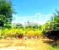 Снимка 4 — Парцел в Стара Загора, с. Малко Тръново