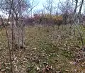 Снимка 2 — Парцел в Стара Загора, с. Малко Тръново