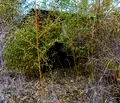 Снимка 4 — Парцел в Стара Загора, с. Малко Тръново