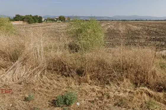 Парцел в Стара Загора, с. Могила