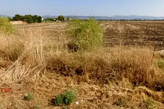 Парцел в Стара Загора, с. Могила
