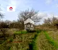 Снимка 2 — Парцел в Стара Загора, с. Ново село