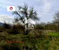 Снимка 3 — Парцел в Стара Загора, с. Ново село