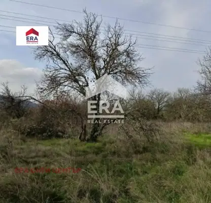 Снимка 3 — Парцел в Стара Загора, с. Ново село