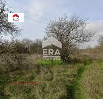 Снимка 4 — Парцел в Стара Загора, с. Ново село
