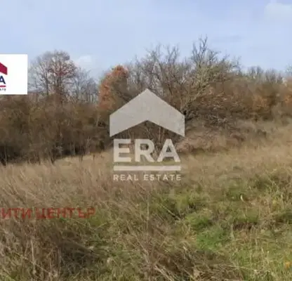 Снимка 4 — Парцел в Стара Загора, с. Ново село
