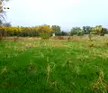 Снимка 3 — Парцел в Стара Загора, с. Оряховица