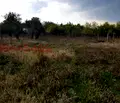 Снимка 2 — Парцел в Стара Загора, с. Оряховица
