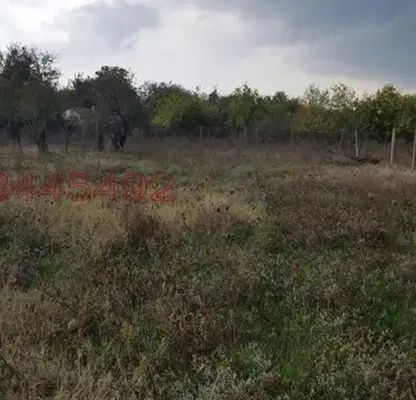Снимка 2 — Парцел в Стара Загора, с. Оряховица