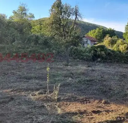 Снимка 4 — Парцел в Стара Загора, с. Оряховица