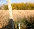 Снимка 3 — Парцел в Стара Загора, с. Памукчии