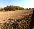 Снимка 4 — Парцел в Стара Загора, с. Памукчии
