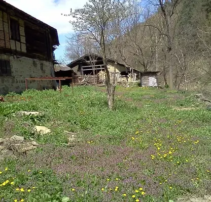 Снимка 3 — Парцел в Стара Загора, с. Пчелиново