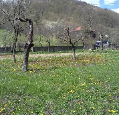 Снимка 5 — Парцел в Стара Загора, с. Пчелиново