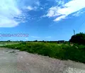 Снимка 5 — Парцел в Стара Загора, с. Петрово