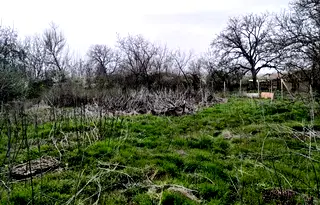 Парцел в Стара Загора, с. Преславен
