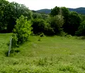 Снимка 2 — Парцел в Стара Загора, с. Пряпорец
