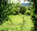 Снимка 4 — Парцел в Стара Загора, с. Пряпорец