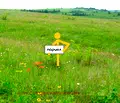 Снимка 2 — Парцел в Стара Загора, с. Пряпорец