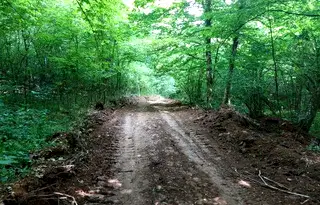 Парцел в Стара Загора, с. Пряпорец