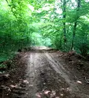 Парцел в Стара Загора, с. Пряпорец