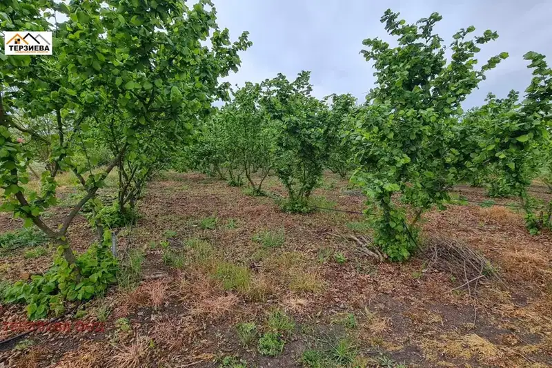 Plot in Oblast Stara Zagora, Pystren