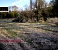 Снимка 5 — Парцел в Стара Загора, с. Пъстрово