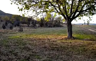 Парцел в Стара Загора, с. Пъстрово
