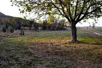 Парцел в Стара Загора, с. Пъстрово
