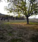 Парцел в Стара Загора, с. Пъстрово
