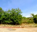 Снимка 4 — Парцел в Стара Загора, с. Сладък кладенец